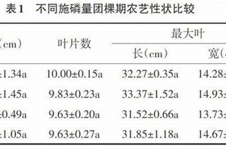 建兰用什么土栽培最好