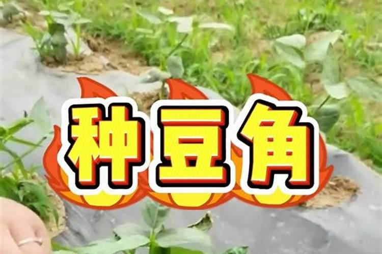 果树肥料科学使用方法 需要怎么施肥