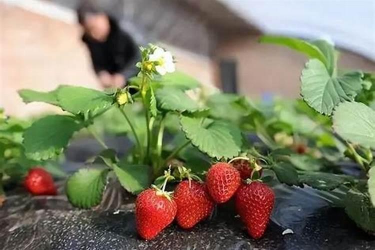 复合肥生产为什么用甲醛
