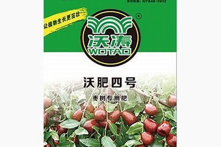 枣树施肥应该注意什么