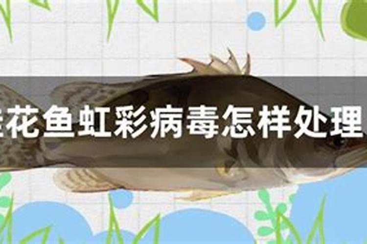 盆景施肥后多久浇水 “盆景施完肥需要等多久才能浇水？”