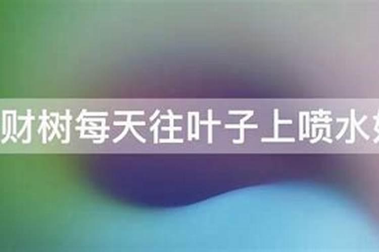 发财树怎样施肥