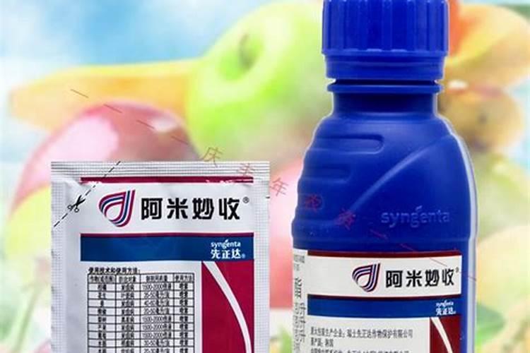 秋天发财树多少天浇一次水