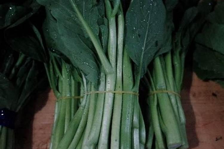 种青菜如何正确施肥