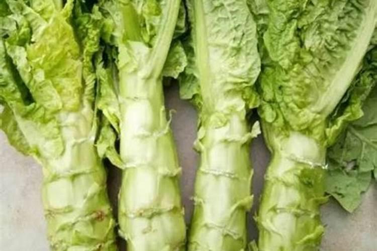 大樱桃结果后能不能用大量元素水溶肥？