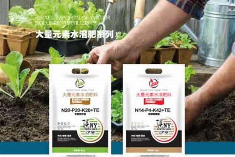 豆角打叉整枝方法图解