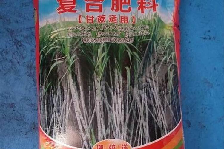 为什么甘蔗会带咸味