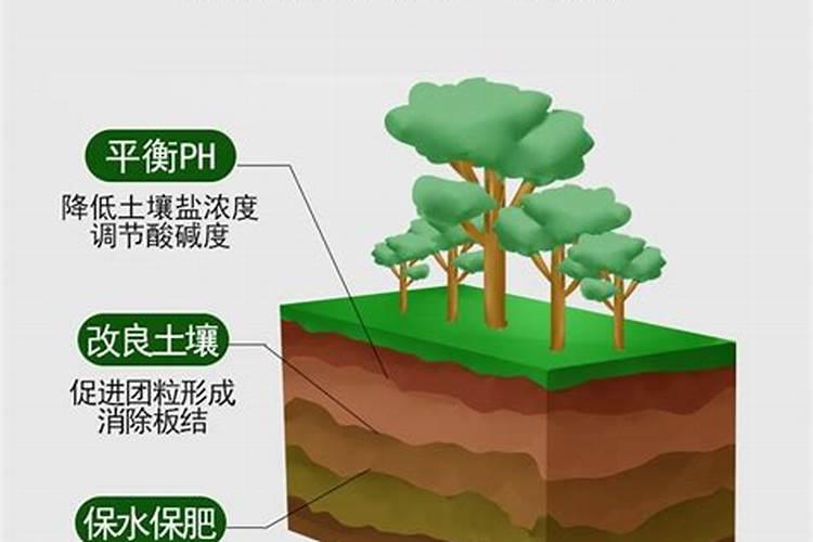 怎么把黄土变松软肥沃 怎么把黄土改良成肥沃的土壤