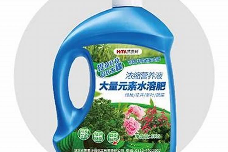 怎样给文竹施肥 文竹施肥时间