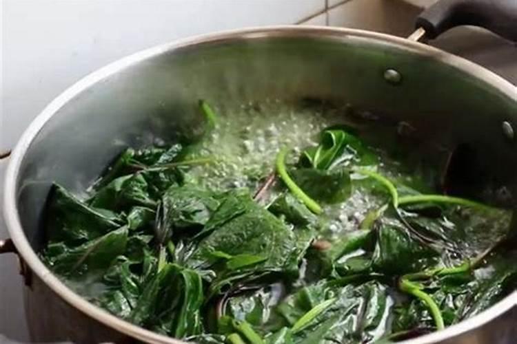 彭果的最佳选择是氮肥还是钾肥呢？