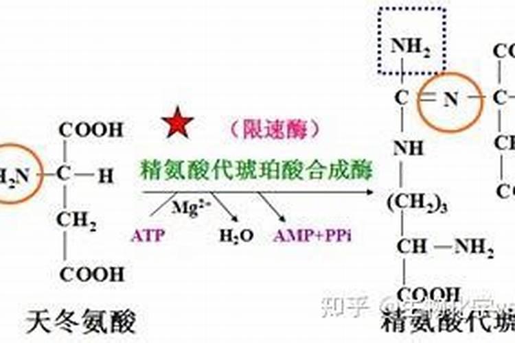 氨基酸原粉和尿素的区