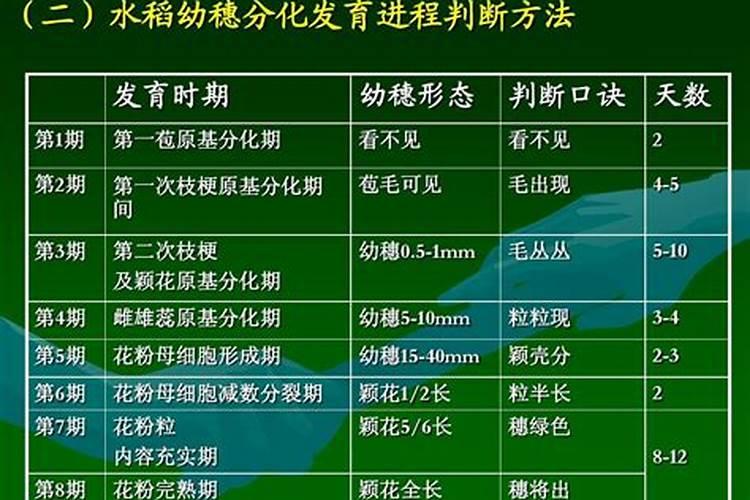 不去皮称重怎么处罚