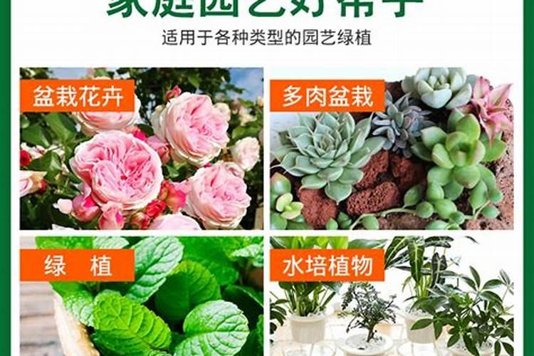 一盆花放几粒尿素 盆栽花卉能用尿素吗