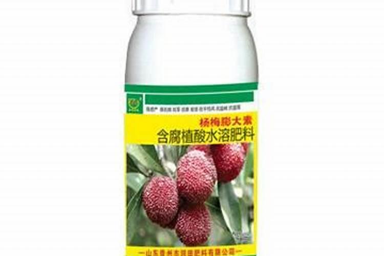 硼肥能增加杨梅种子的饱满度吗 硼肥属于什么肥