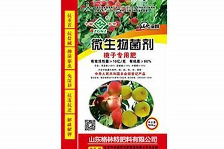 仙鹤来为什么只长叶不开花
