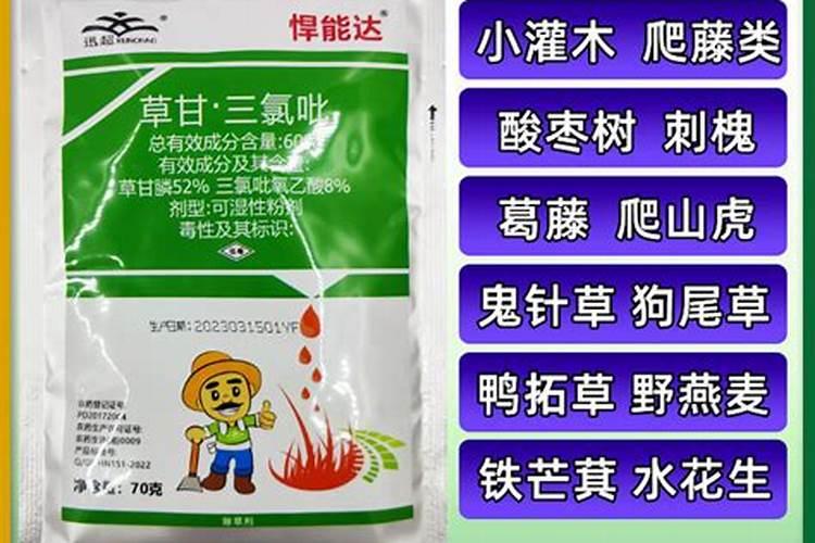 草莓开花前期用什么肥