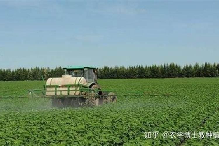 鉴别磷肥和钾肥的简易方法