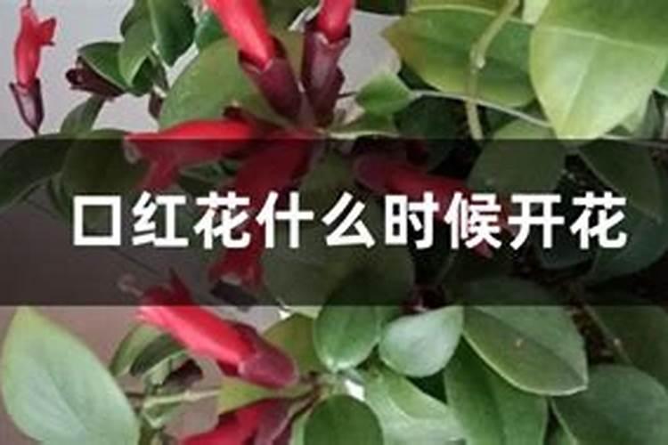 复合肥品牌排行榜