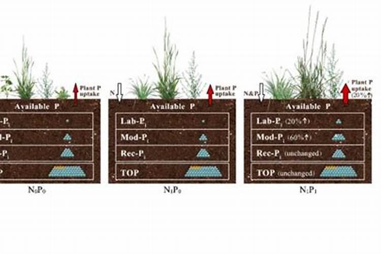 磷肥容易流失吗