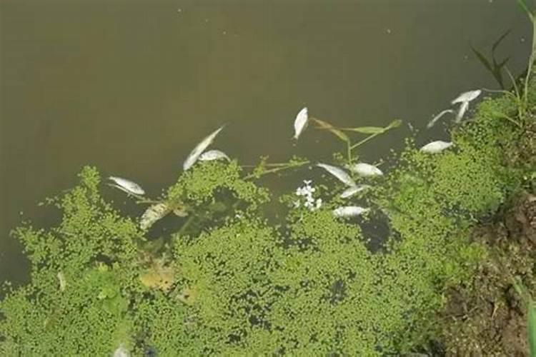 磷肥过量对土壤的危害