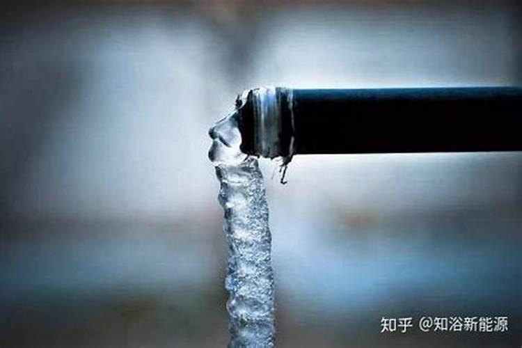 龙眼冬天怎么浇水施肥 龙眼冬天如何浇水施肥