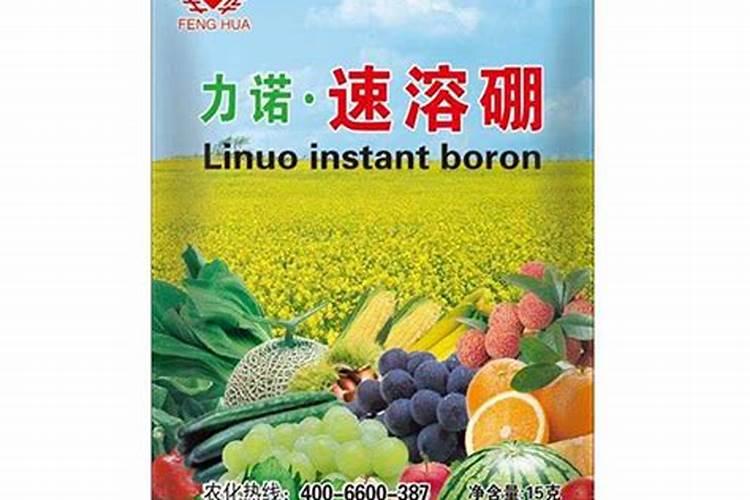 糖化硼肥片真能防虫吗