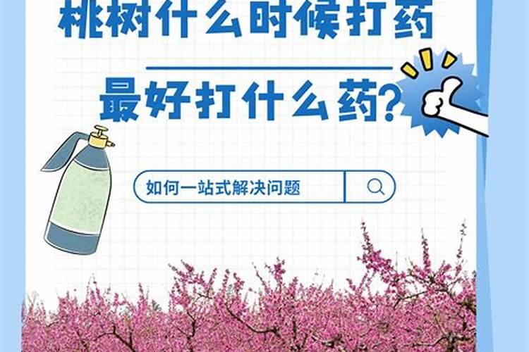 桃树喷施什么成分的肥料能够快速促进长新枝呢？