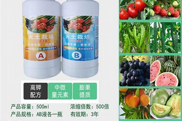水溶肥排名前十位的有哪些品牌