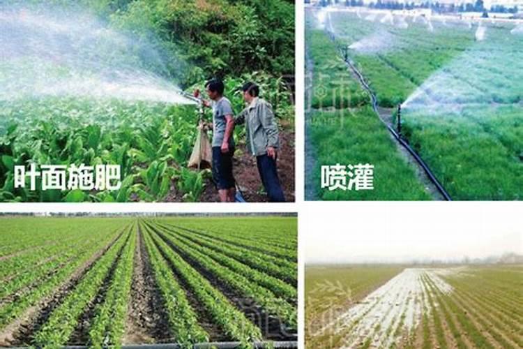 四川什邡德美实业有限公司水溶肥质量怎么样？