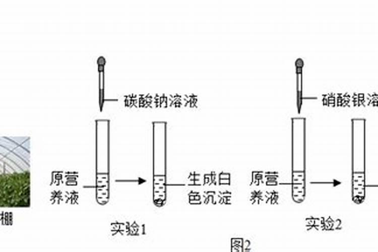 水溶肥原料有哪些