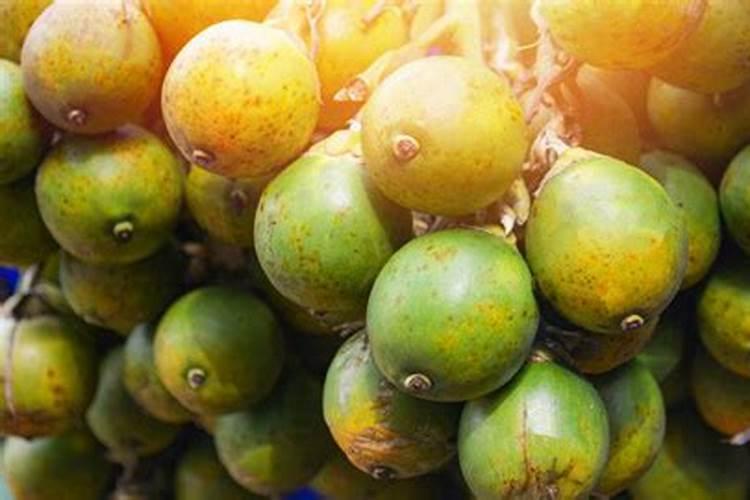 油菜移栽后怎样施肥