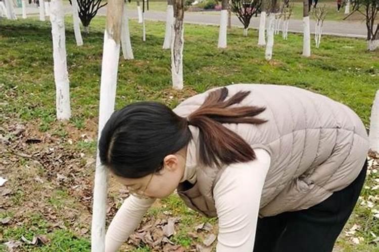 刚种的脐橙可以用什么肥料呢？