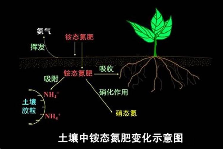 水稻苗床土壤多少氮磷钾合适？