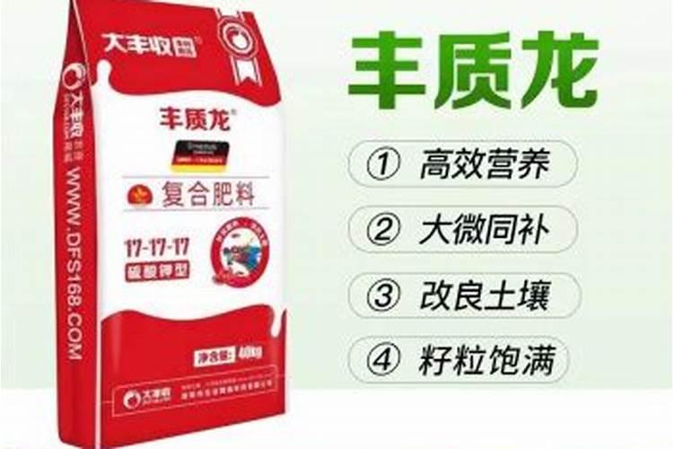 柑橘树什么时候打药好