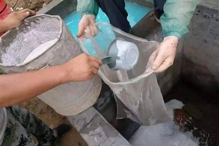 葡萄转色期用什么肥料好