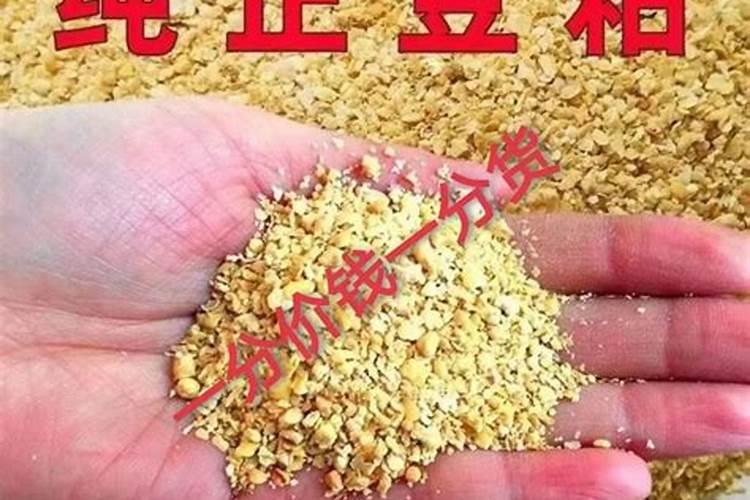 黄豆做肥料注意的事项 制作花肥的方法