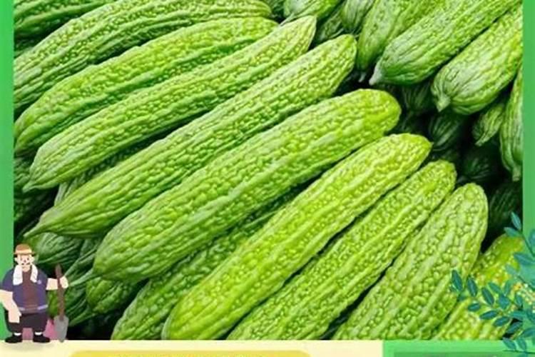 硝酸铵钙和尿素用小麦追肥哪个更好