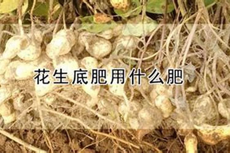 种花生怎样施底肥？