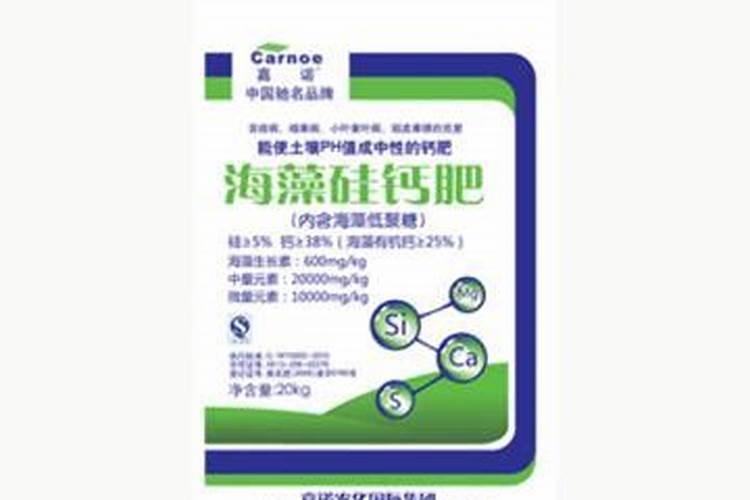 阳光玫瑰葡萄怎样种植
