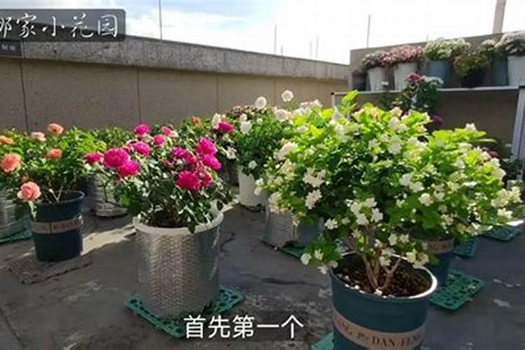 青海最大的钾肥厂