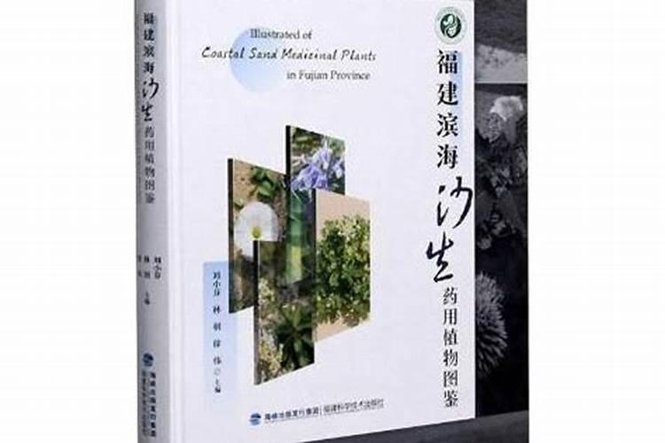 叶面肥有哪些品牌