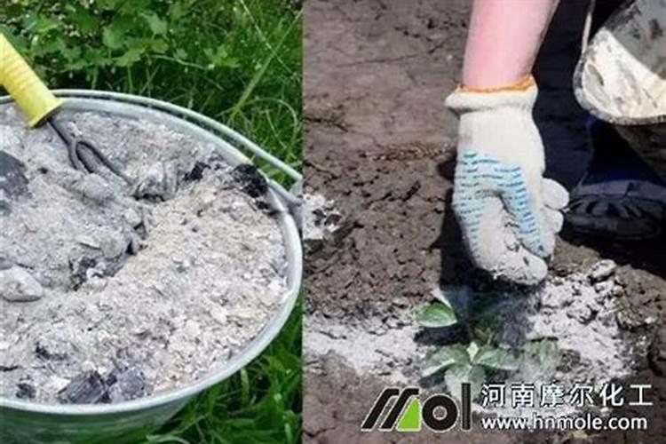草木灰是氮肥还是钾肥