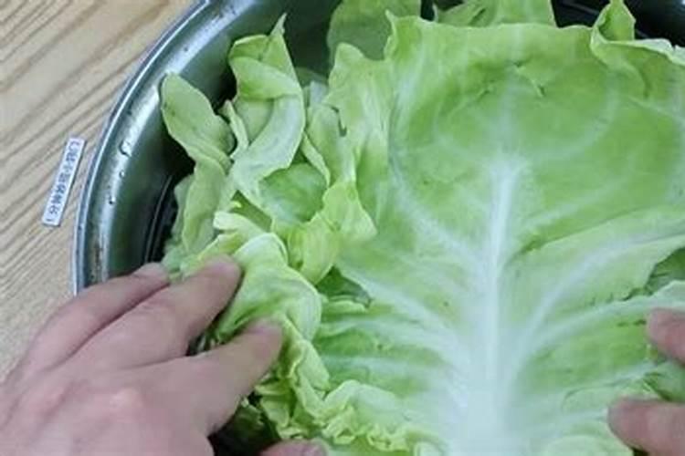 种青菜用什么肥料好