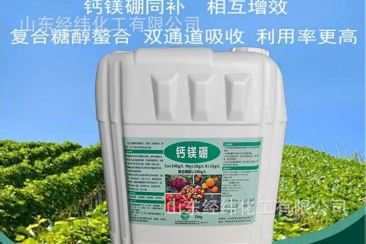 种花生用什么肥料最好高产