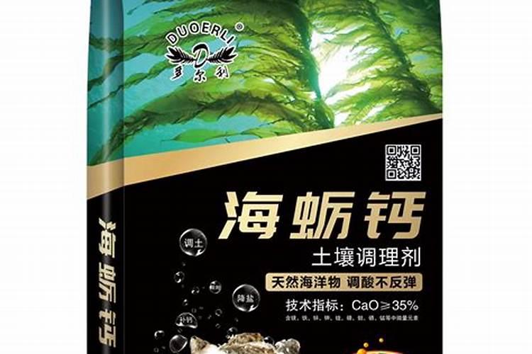 发财树施肥用什么肥料