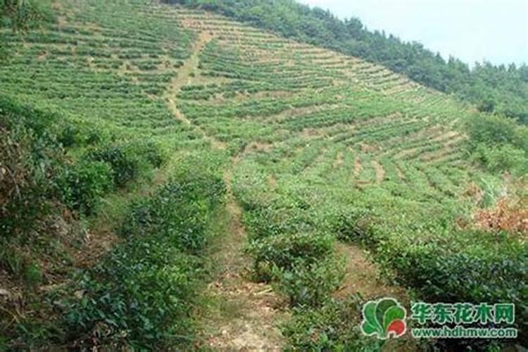 想知道: 渭南市 渭河化肥厂 在哪