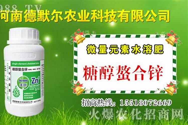 春季刚开始果树施什么肥料会比较好呢