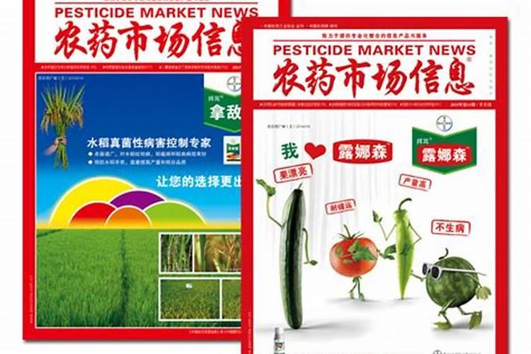 室内植物吊兰叶尖发黄是什么原因