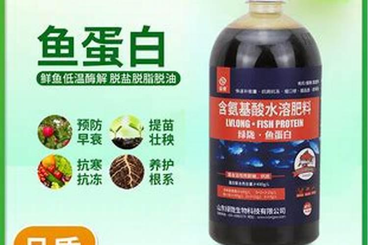 鱼蛋白使用注意事项
