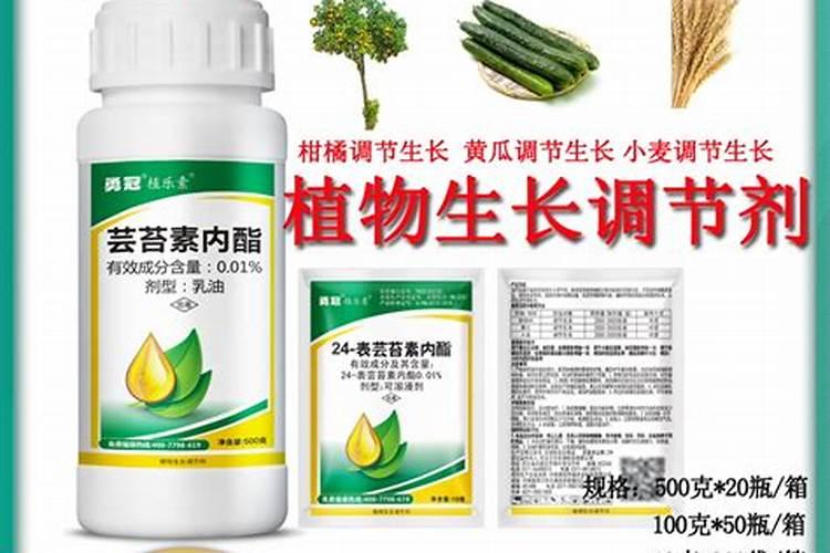 芸苔素内酯喷在土壤能解除药害吗？